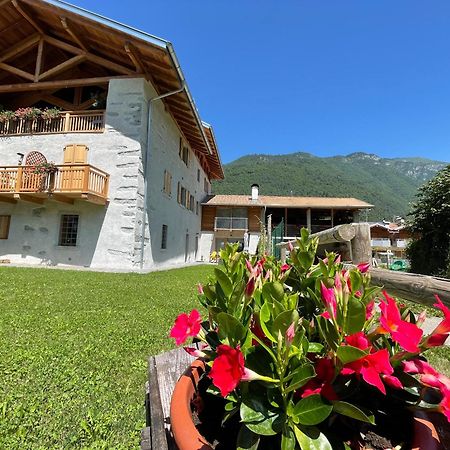 La Lesivera Bed And Breakfast Tione di Trento Luaran gambar